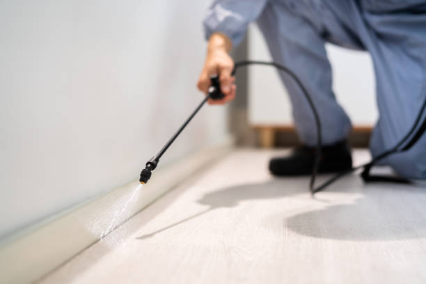 Licensed Termite Control service in High Bridge, WA - Nex Pest Control
