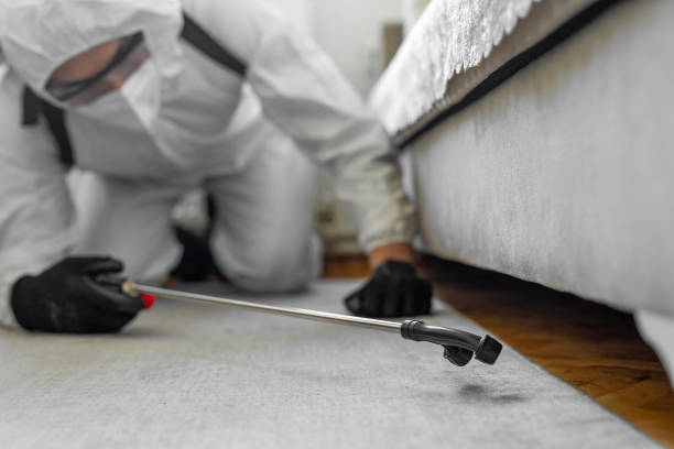 Professional Termite Control technician working in High Bridge, WA