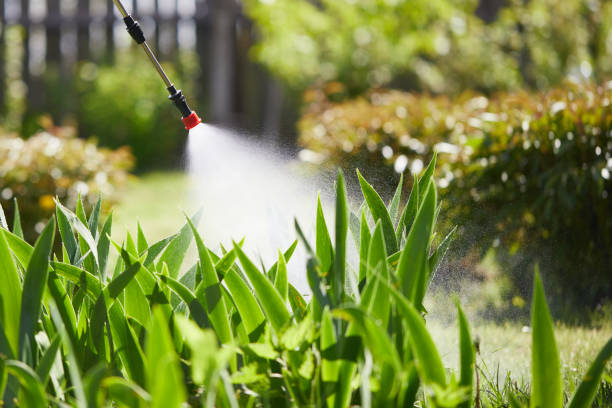 24/7 Emergency Termite Control experts in High Bridge, WA
