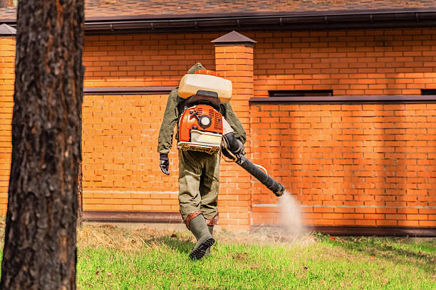 Top rated local Termite Control specialists in High Bridge, WA